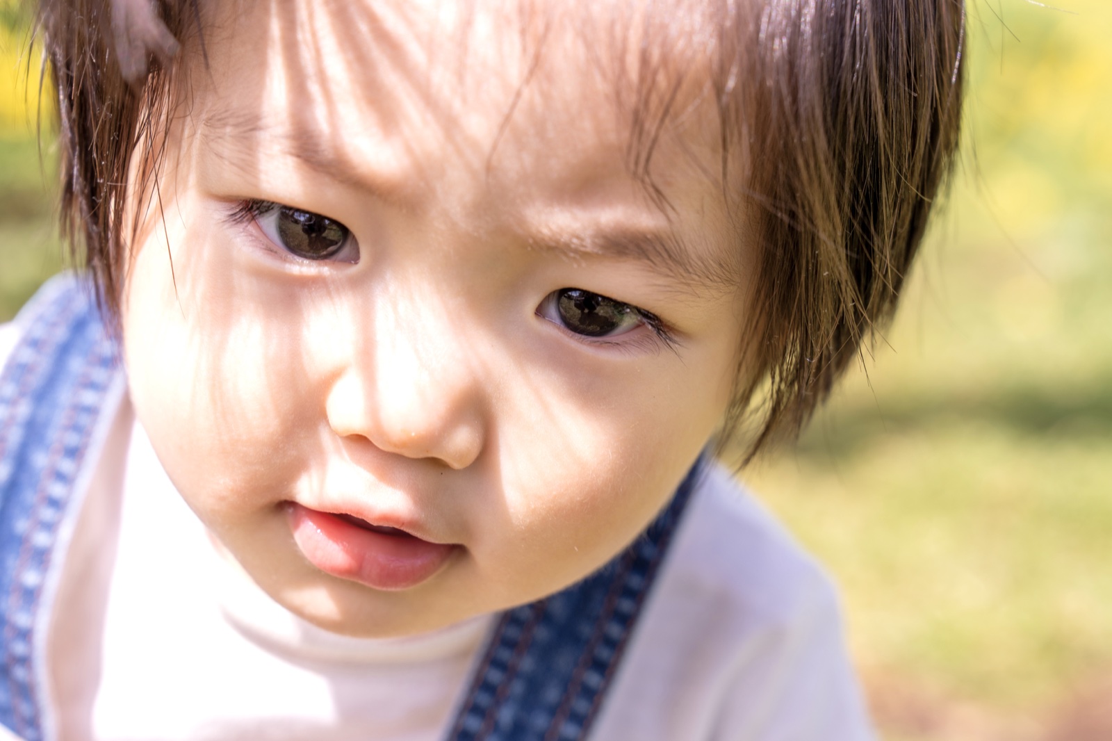 子供の表情を近くで写した写真