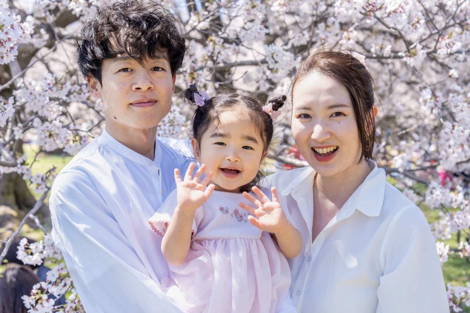 桜の前で家族が寄り添う写真